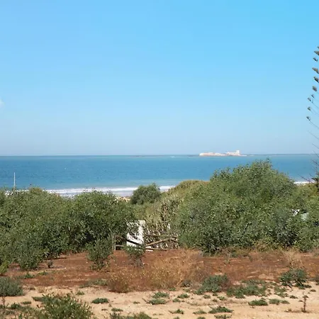 Apartment Novobarrosa A
